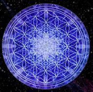 Free Custom SG Downloadable Flower of Life Screensaver TO SYMBOLIZE COSMIC  ONENESS AND GROWTH