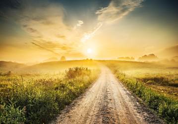 Sunrise during Morning Mist - Farm Road Landscape Photography Landscape ...